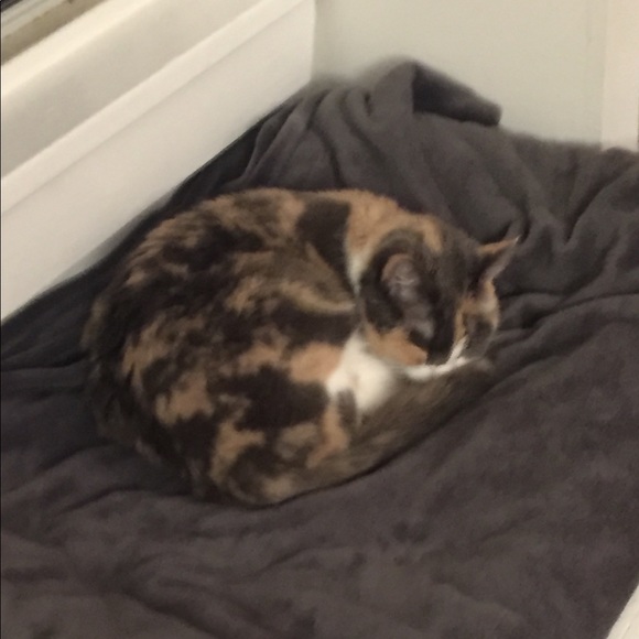 Meet your Posher, E - Picture 1 of 1